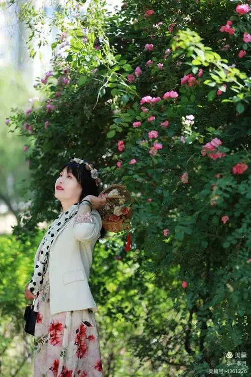 初夏的雨‖文图/赵京江（图11）