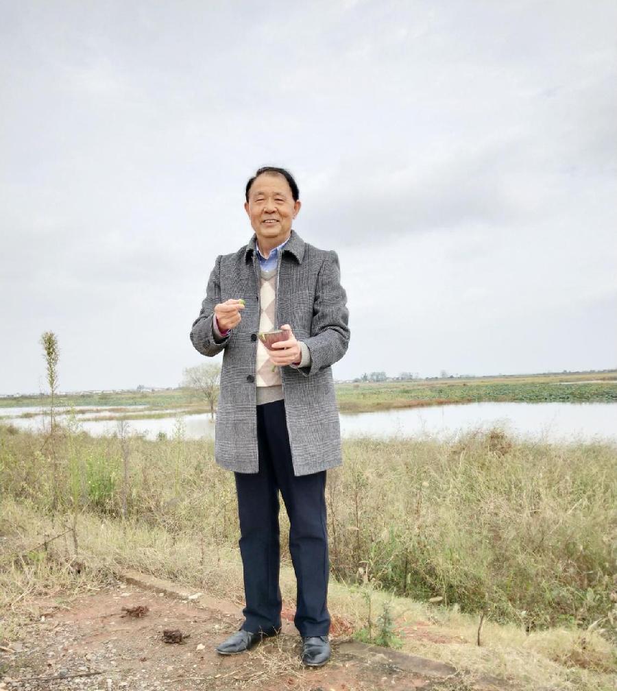 《新田园诗词的语言创新》作者：黄金辉（图3）