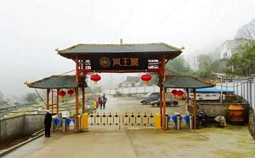 中华诗艺九江格律诗词精品鉴赏(合辑)第1429期(图15)