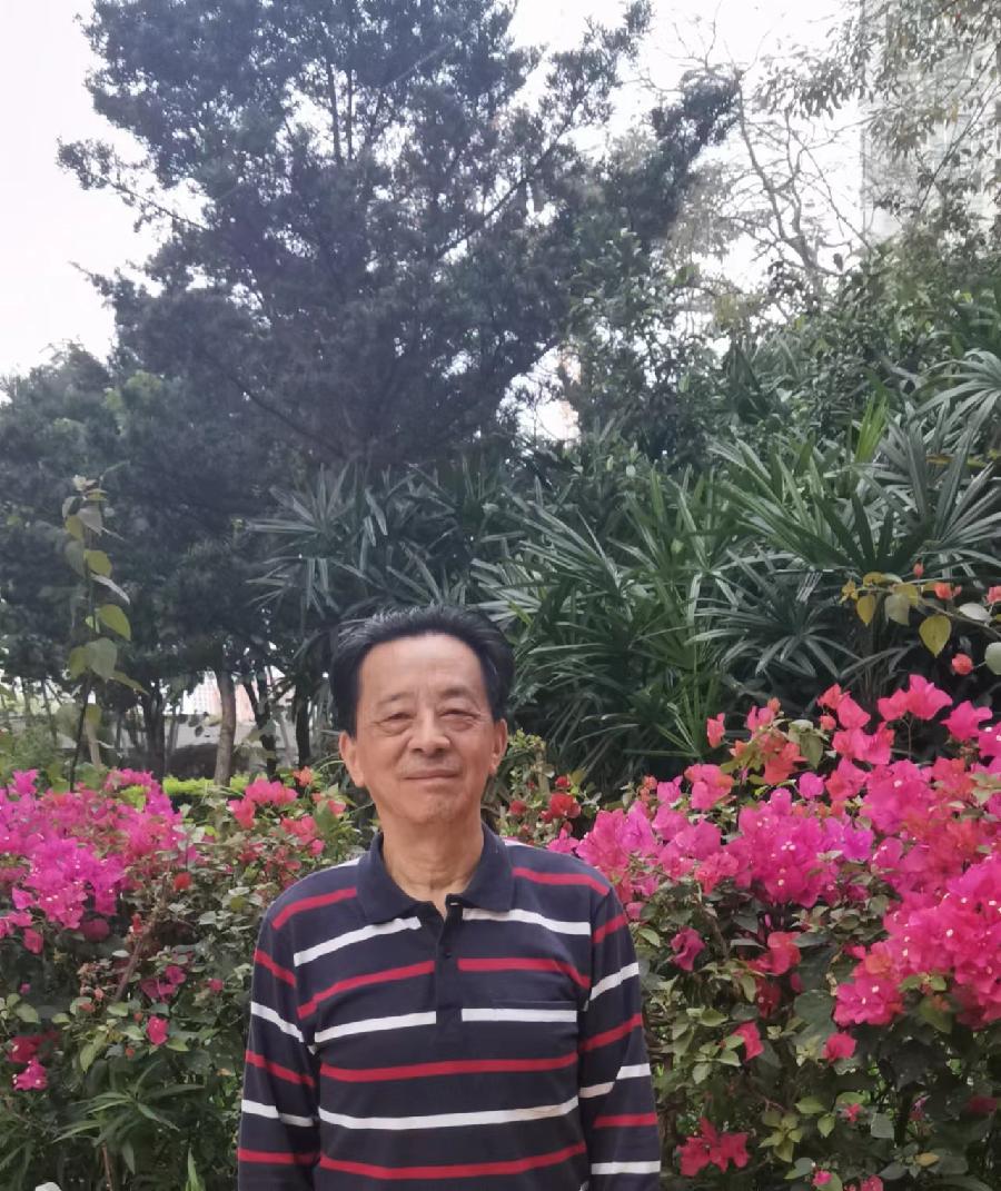 深南大道：作者 丁培恭｜海外头条（图10）