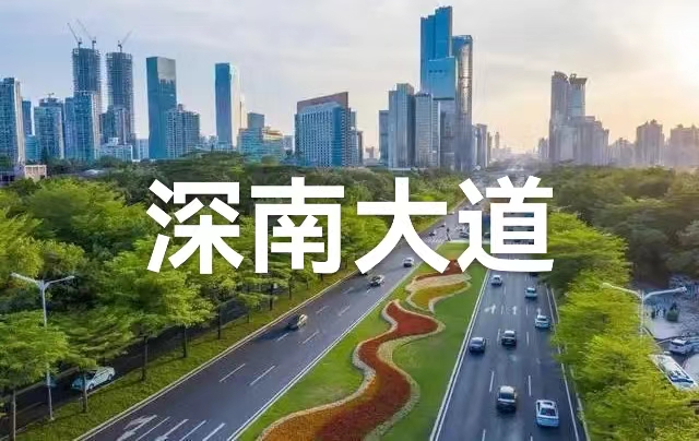 深南大道：作者 丁培恭｜海外头条（图2）