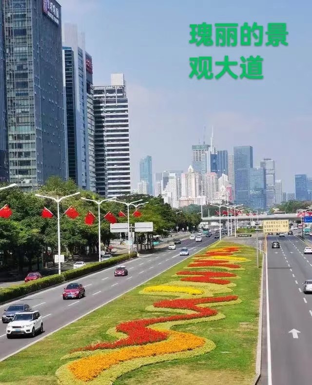 深南大道：作者 丁培恭｜海外头条（图3）