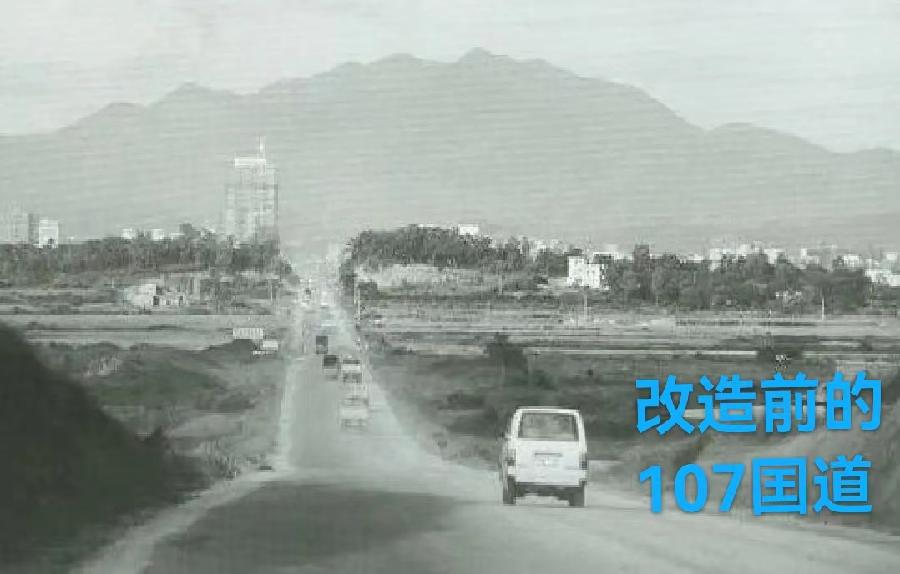 深南大道：作者 丁培恭｜海外头条（图4）