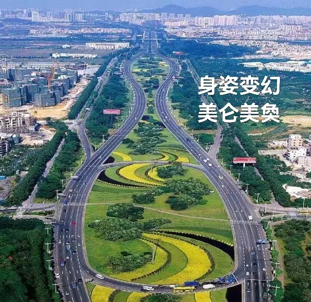深南大道：作者 丁培恭｜海外头条（图6）
