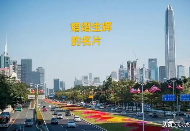 深南大道：作者 丁培恭｜海外头条（图9）