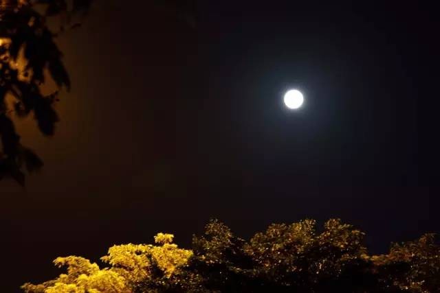 周汝玲（湖北）诗词小辑【冰心文化传媒】（图8）