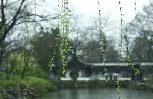周汝玲（湖北）诗词小辑【冰心文化传媒】（图9）