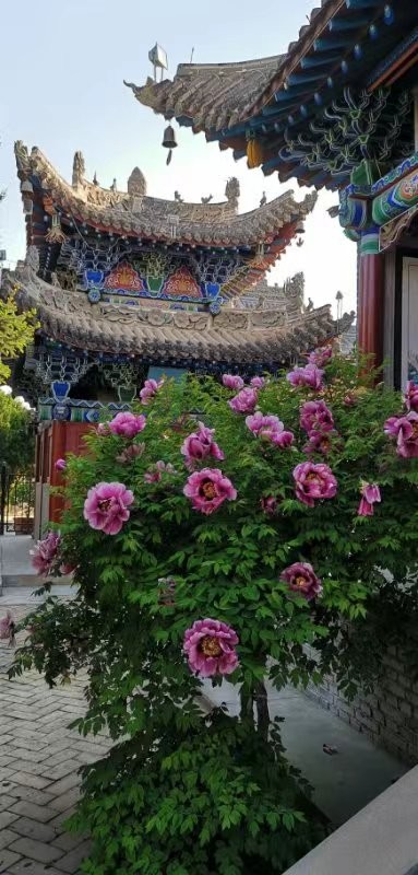 【甘肃诗词精英组合】 常家河* 山楂小镇*诗抄 吴辰旭 哈建设 金其贵 张大发 张平生(图25)
