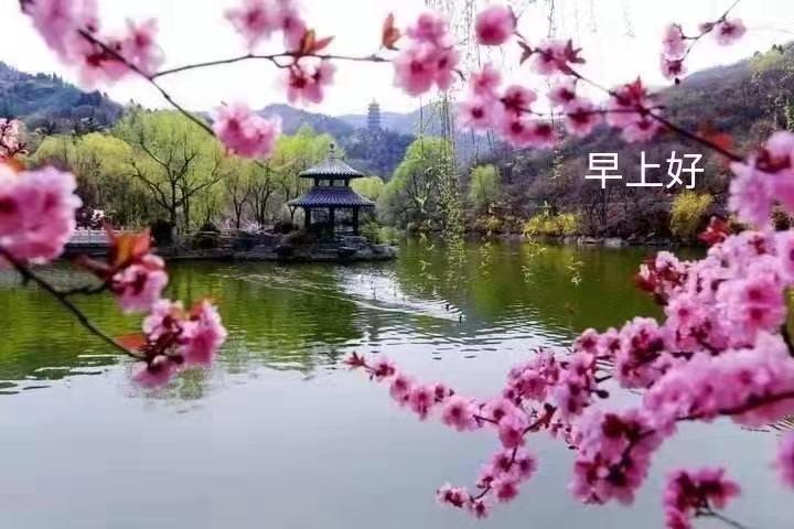 逍遥郎律（图2）