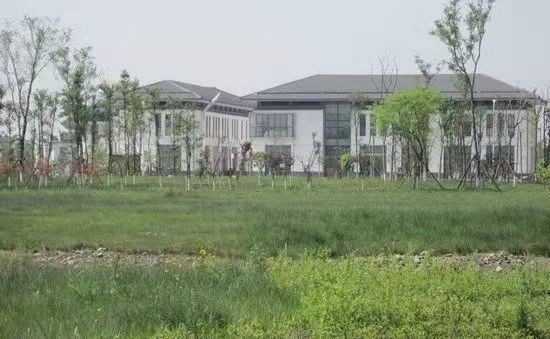 忆秦娥-多难兴邦汶川地震14年祭 文/冯志清(上海)【冰心文化传媒】(图9)