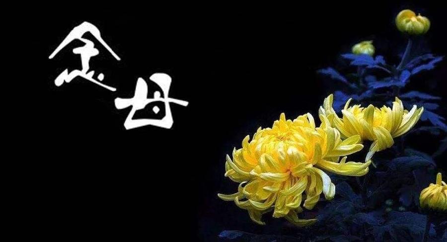 〔格律小辑〕王世金(大连草根吟叟)【冰心文化传媒】（图10）