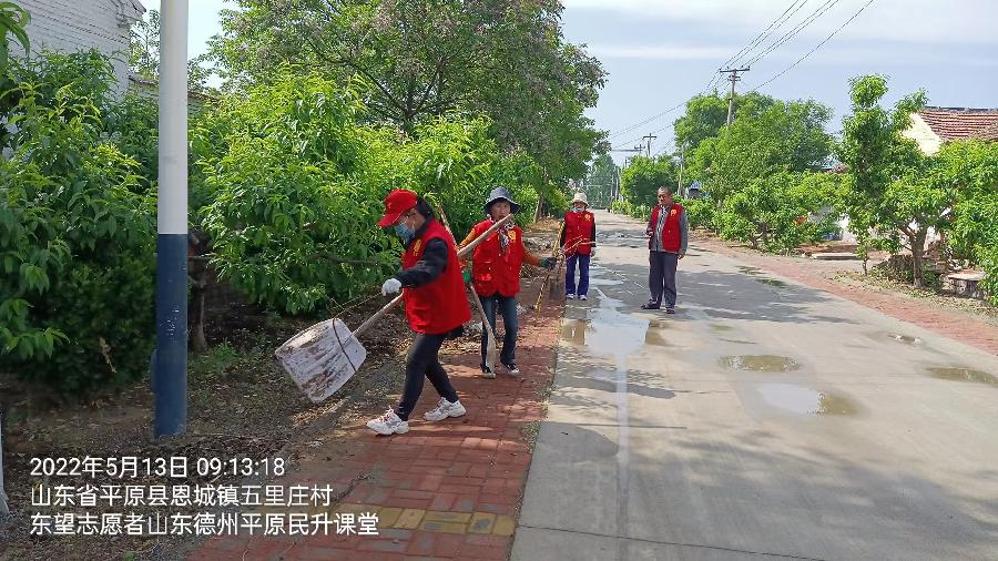 志愿服务助力乡村改善环境
