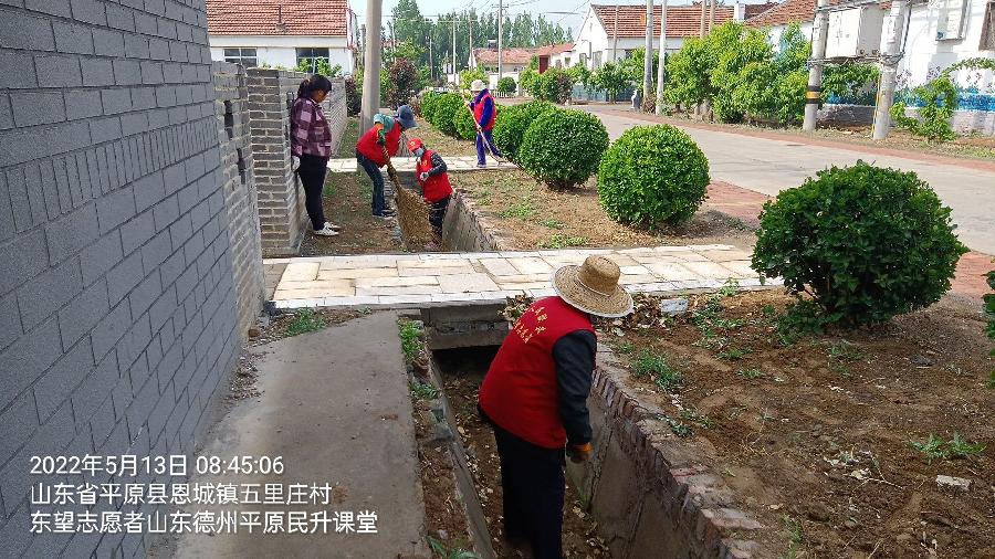 志愿服务助力乡村改善环境（图5）