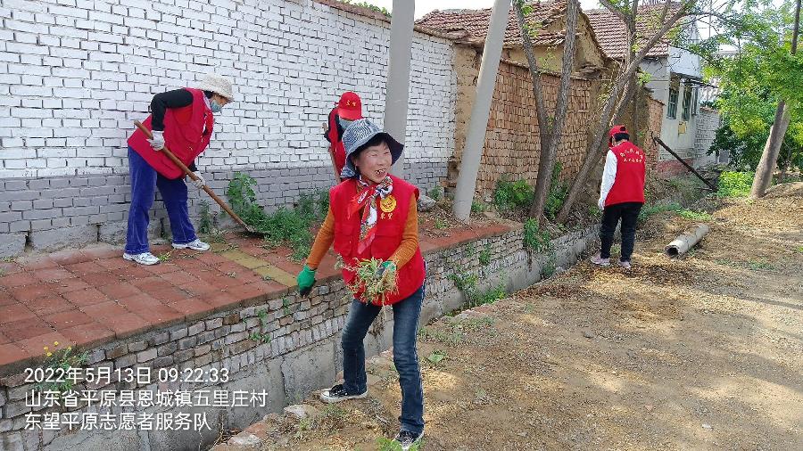 志愿服务助力乡村改善环境（图4）