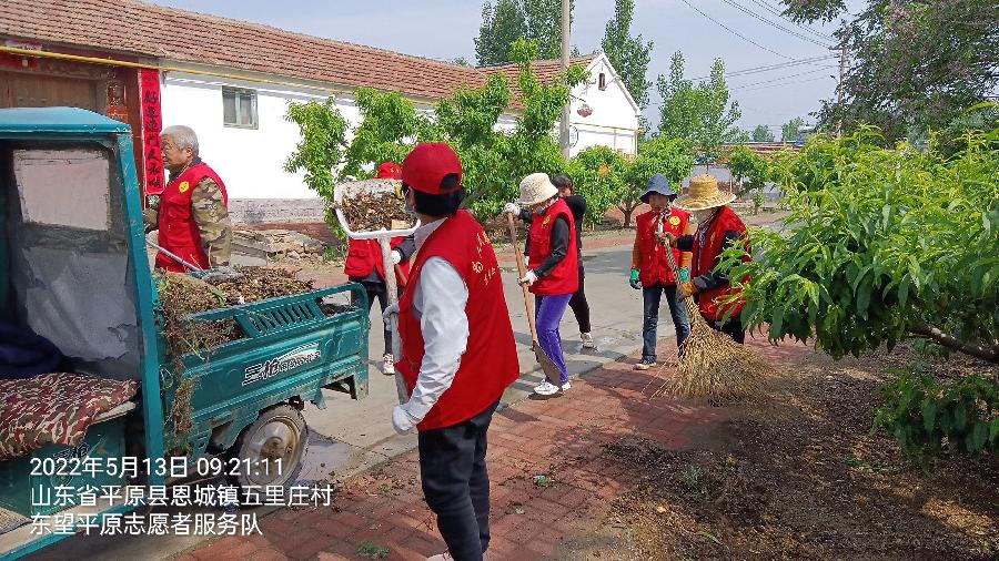 志愿服务助力乡村改善环境（图6）