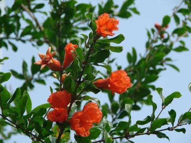 〔诗歌小辑〕文／芦国柱（江苏镇江）【冰心文化传媒】（图5）