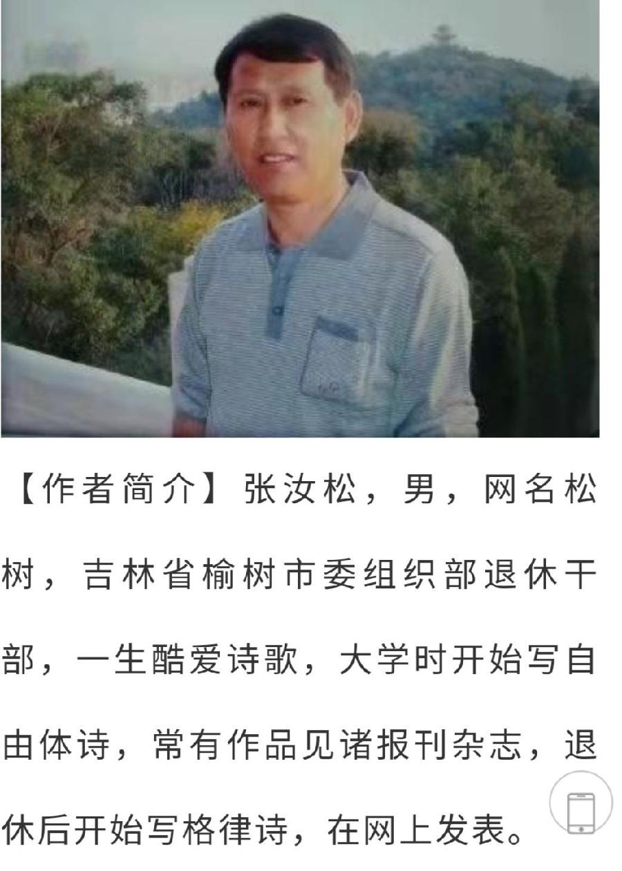【经典推荐】张汝松老师//《孤岛》（新韵）（图5）
