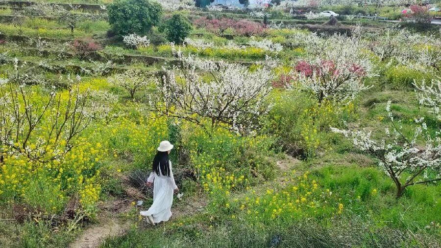 《五月,是今生的约定》作者/庆福 主播/冷月 编辑/胡琴(图4)
