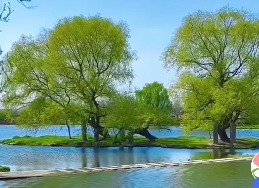【北京头条】推介海风诗词一组请欣赏（图6）