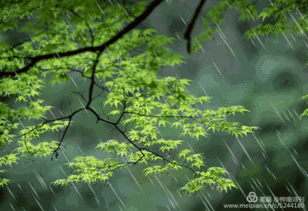 【北京头条】推介海风诗词一组请欣赏（图9）