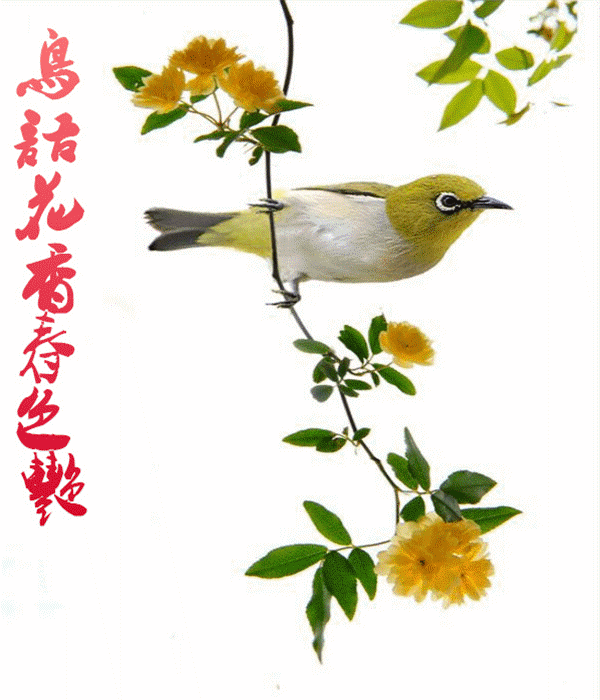 【潇湘文学社】潇湘如兰诗社《喜春》(总339期)(图8)