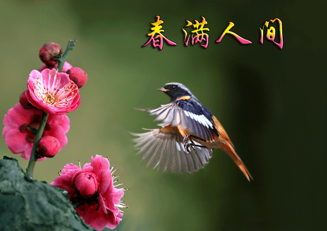 【潇湘文学社】潇湘如兰诗社《喜春》(总339期)(图7)