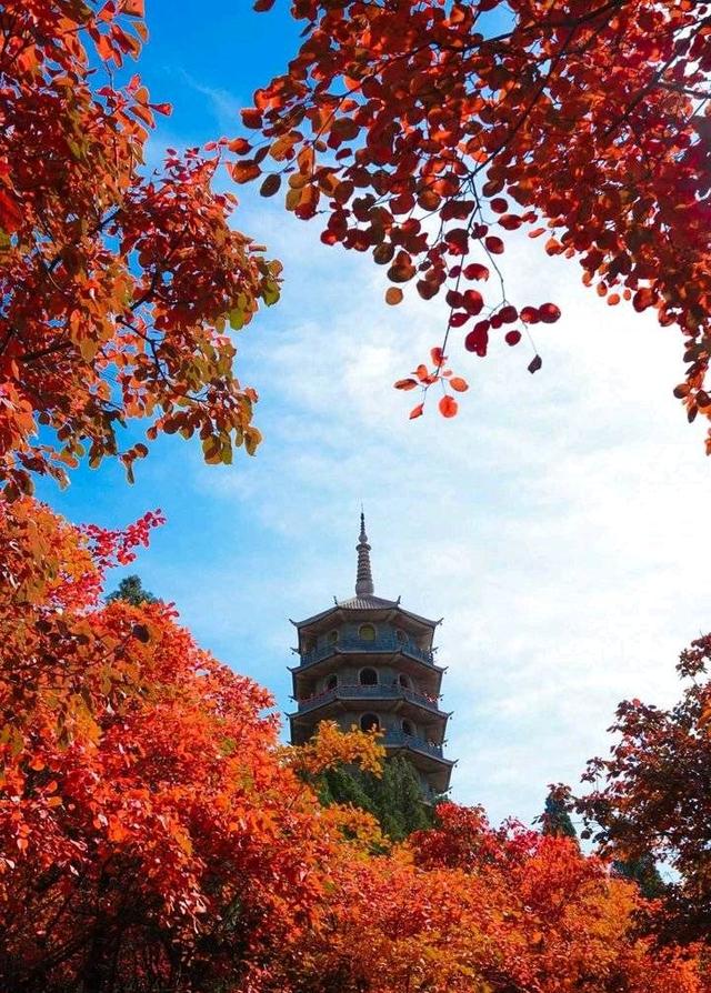 次韵和陈鹤松会长《感落叶》瀼溪诗词楹联学会推送！（图19）