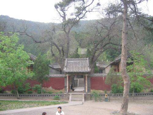 〔诗词小辑〕作者 强建（陕西彬州）【冰心文化传媒】（图3）