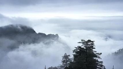 【经典推荐】伍玉龙老师//昨雨拾句｛外一首｝（图3）