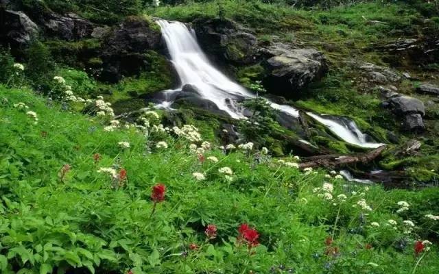 《初夏的味道》作者：甘露 诵读：雯煜 编辑：宋梅【中国长江文学社】有 声文学平台第3749期（图6）