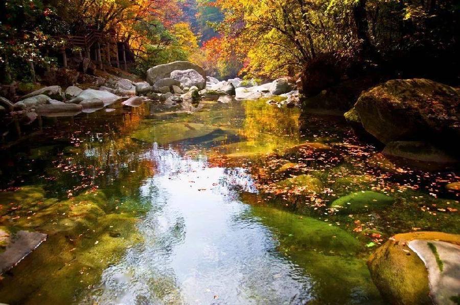 《初夏的味道》作者：甘露 诵读：雯煜 编辑：宋梅【中国长江文学社】有 声文学平台第3749期（图10）