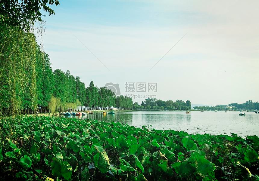 〔诗歌小辑〕作者:陈锦锋（湖北黄梅）【冰心文化传媒】（图6）