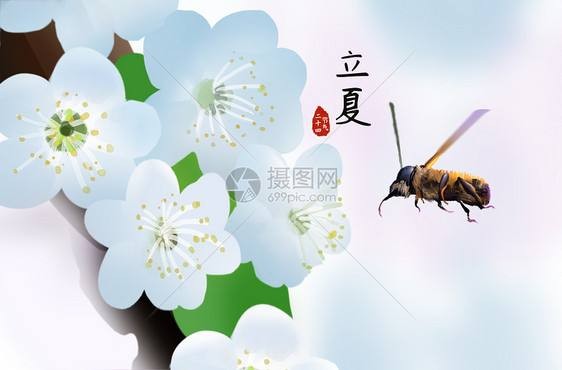 *立夏*(外一首)文/落雨的秋(四川)【冰心文化传媒】(图3)