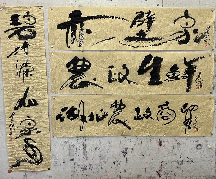 【雅诗总会】艺术家萧宽为朋友泼墨挥毫艺术欣赏（图41）