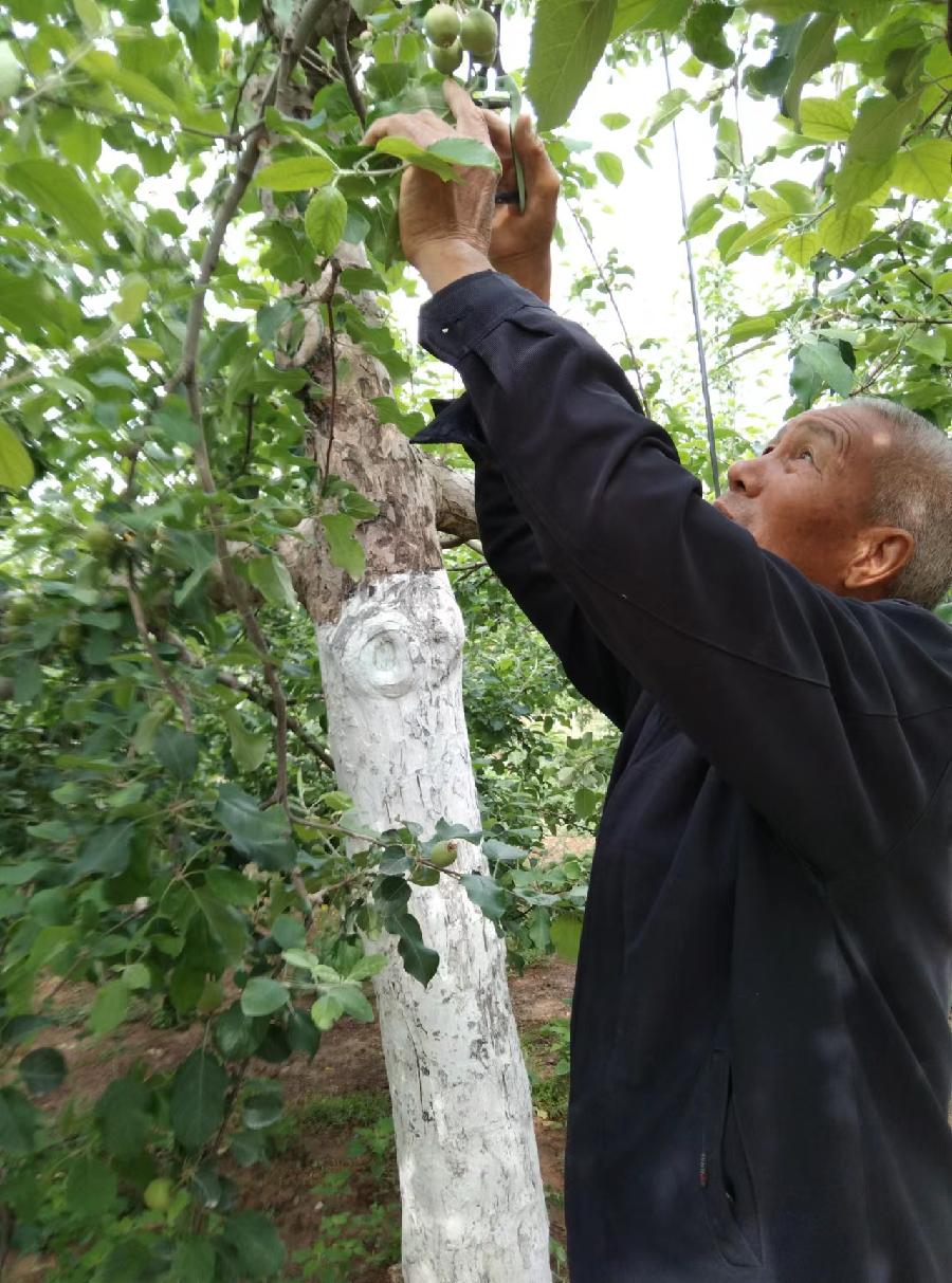 葫芦坡的今昔（图4）
