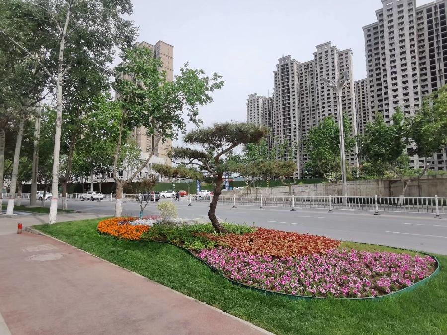 【经典推荐】杨武军//街边公园有感（图4）