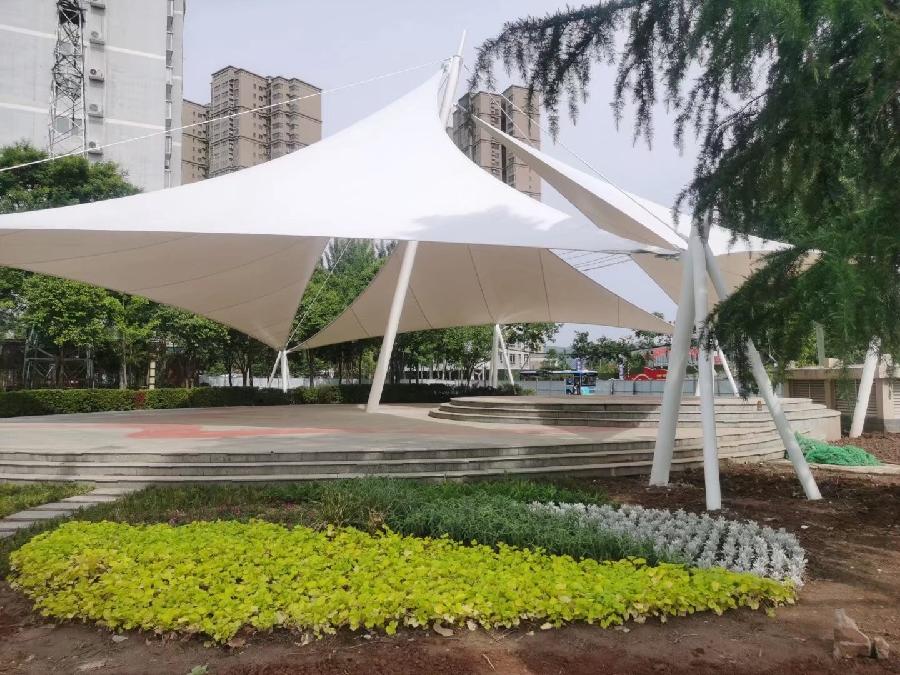 【经典推荐】杨武军//街边公园有感（图6）