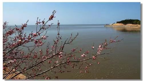西江月四阙【边疆十里杏花香】淡泊名利（北京）【冰心文化传媒】（图3）
