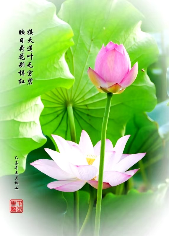 【神州源流诗苑】第639期[优秀现代诗]（含其他）周刊