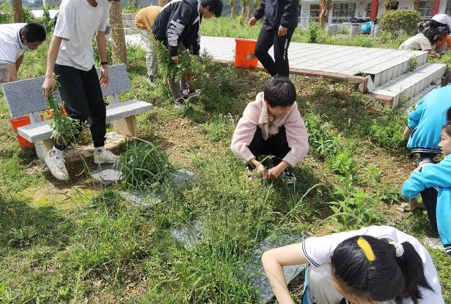 洪方中心学校开展”快乐劳动 健康成长”教育活动(图6)
