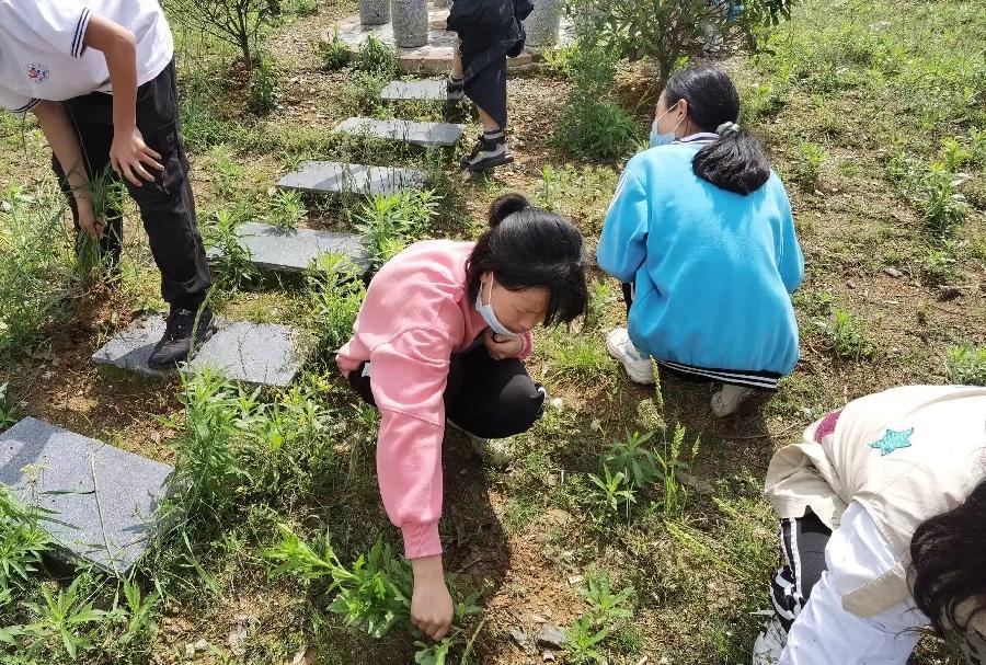 洪方中心学校开展”快乐劳动 健康成长”教育活动（图5）