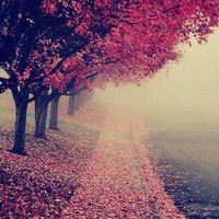 长篇小说《往事如梦》赏析 第一卷(1—20)文/王开利(图16)