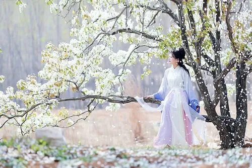 【华夏周刊】第93期诗友合辑（图2）