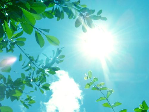 七绝：立夏 文/罗平（图2）