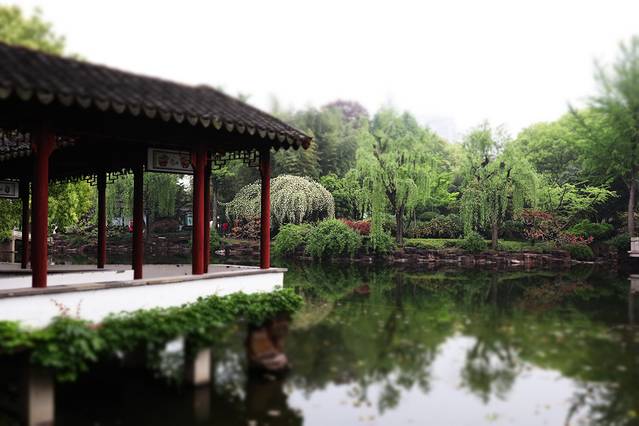 《石榴花吟》（外十四首）作者：晏智勇（图4）