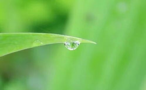 【北美翰苑】海燕国际艺术传媒联合推出‖《离情》唐闹闹（美国）的作品（四十四）朗诵：若惜（图2）