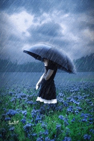 《夏雨》作者：开心 诵读：静远 编辑：宋梅【中国长江文学社】有 声文学平台第3756期（图4）
