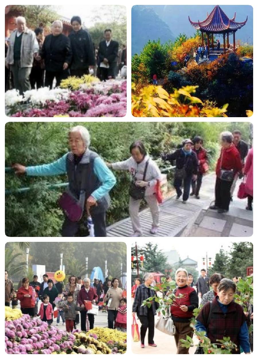 【北美翰苑分享社格律诗词精品鉴赏】第三十二期(周刊)(图39)