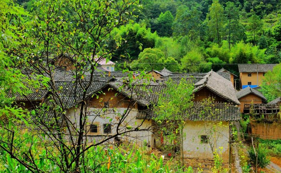 【佳作推荐】张方明(青岛市)诗词五首请欣赏(图5)