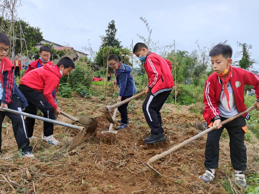 张溪汪坡小学开展劳动教育宣传周活动(图4)